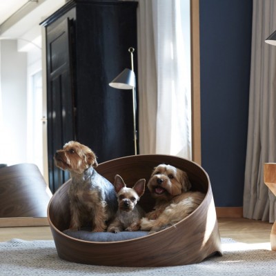3 dogs sitting in a luxury dog bed